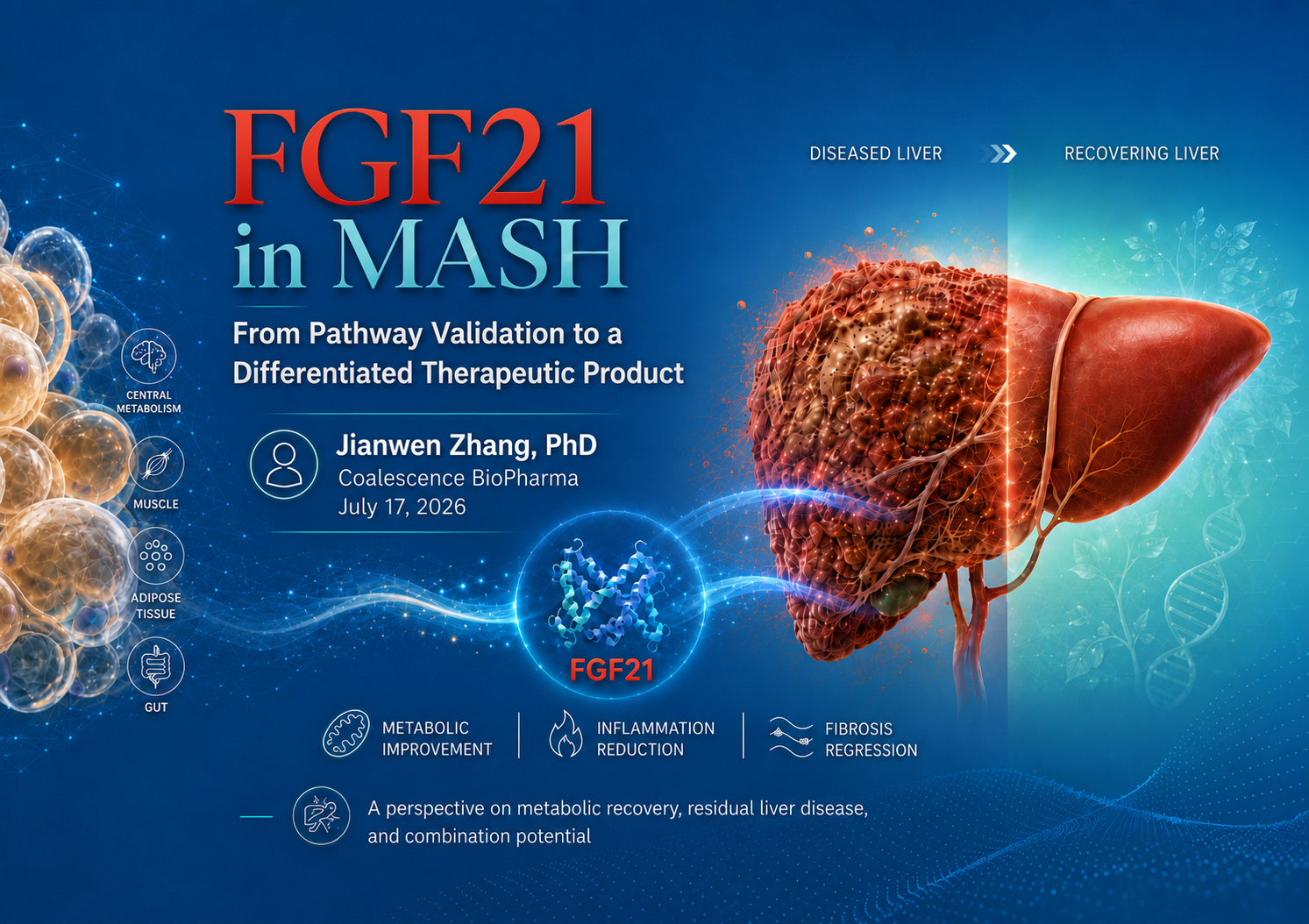 FGF21 in MASH: From Pathway Validation to a Differentiated Therapeutic Product Thumbnail